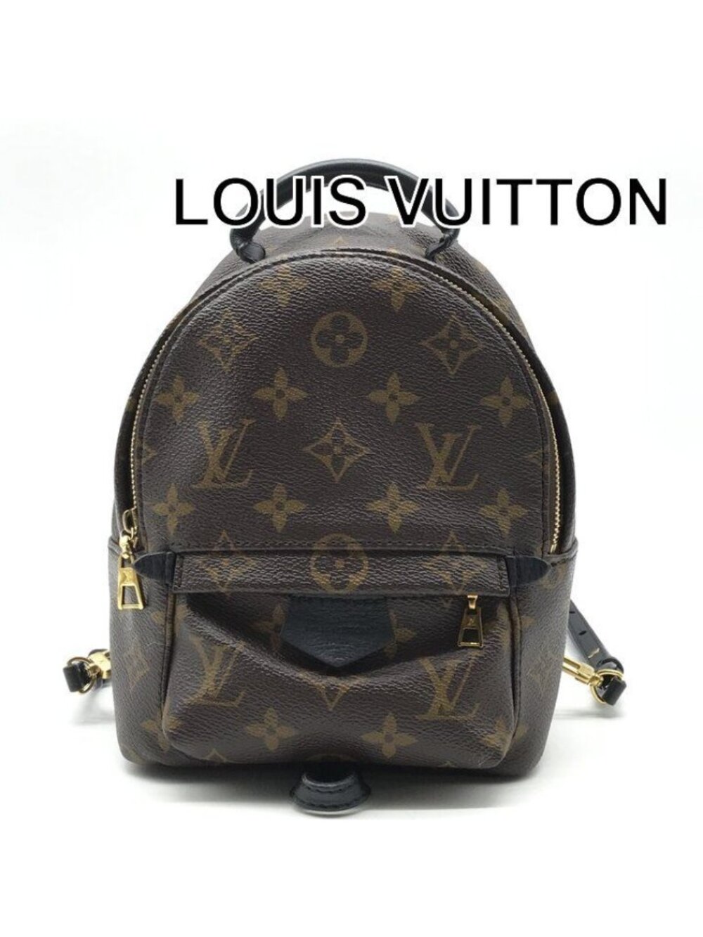 Louis Vuitton Palm Spring Backpack Monobank Leather